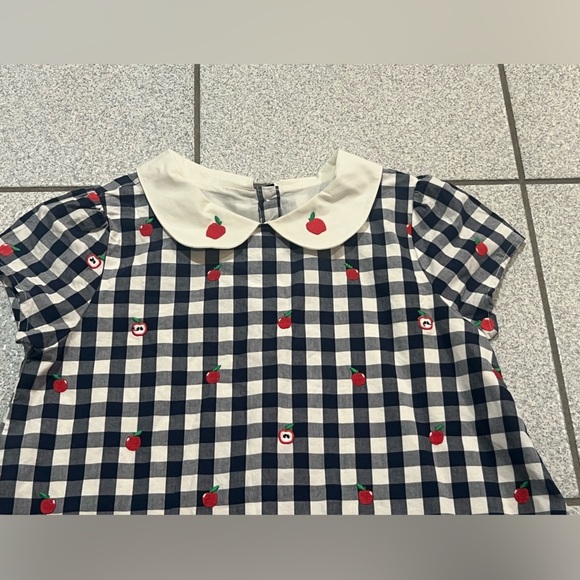 GYMBOREE Girls Gingham Apple Peter Pan checkered Top/size 12 - Picture 2 of 10